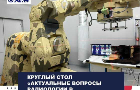 вет круглый стол